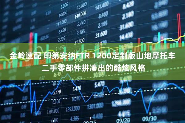 金岭速配 印第安纳FTR 1200定制版山地摩托车 二手零部件拼凑出的酷炫风格